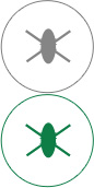太阳集团城高效抗菌