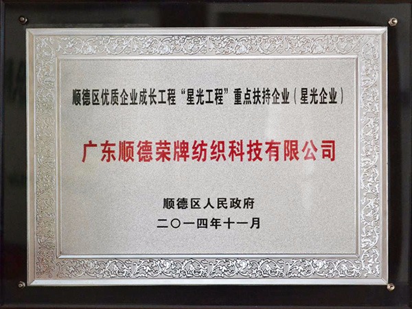 太阳集团城-2012年获顺德政府颁发“星光企业”称号