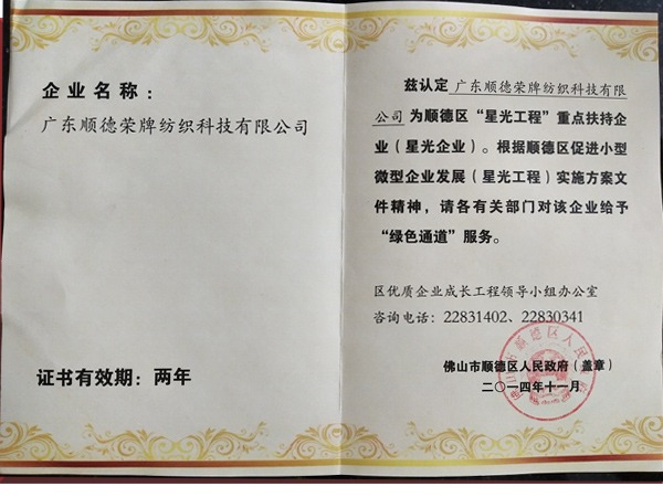 太阳集团城荣获政府重点扶持企业